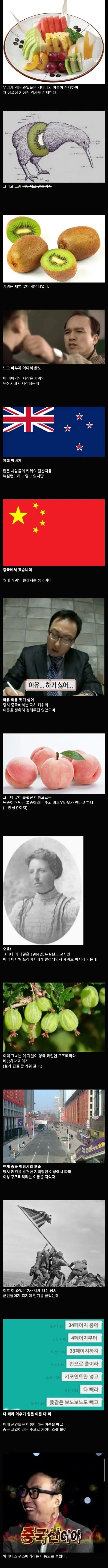 이름이 중국스러워 개명한 과일