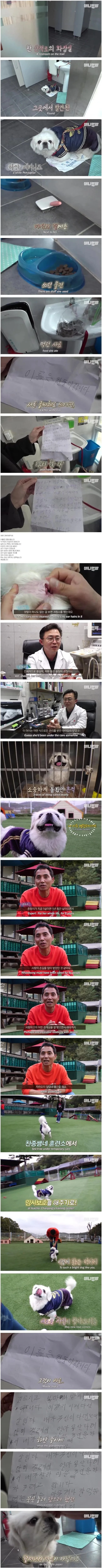 산책로 화장실에서 발견된 한 강아지