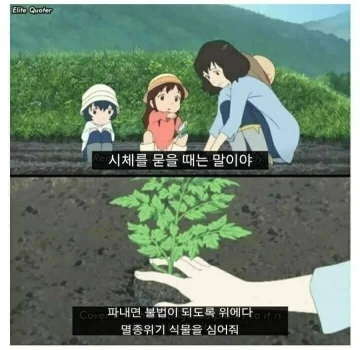 00-1.jpg