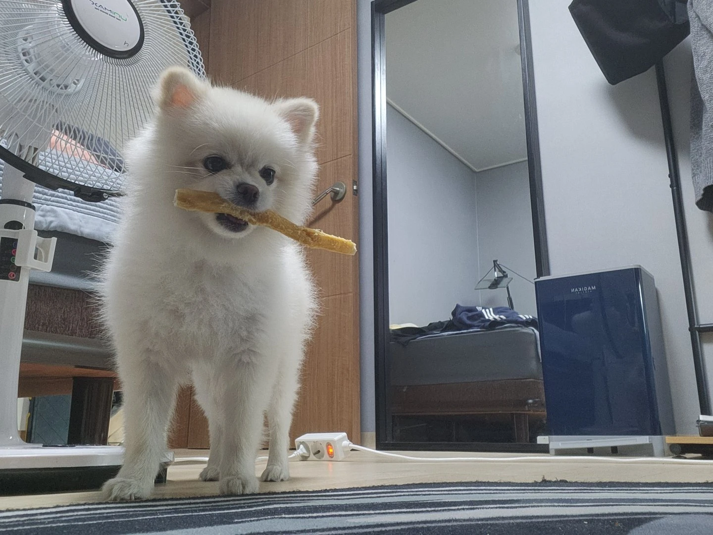 자랑글