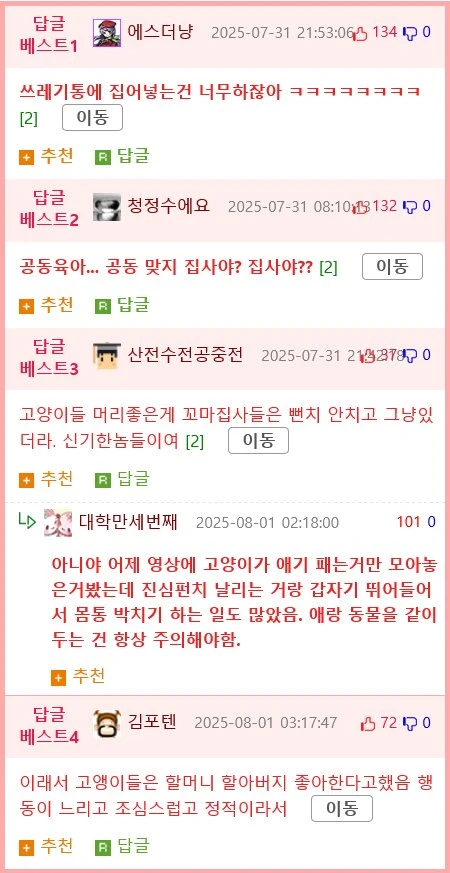 꼬마 집사들을 인내하는 고양이들.mp4
