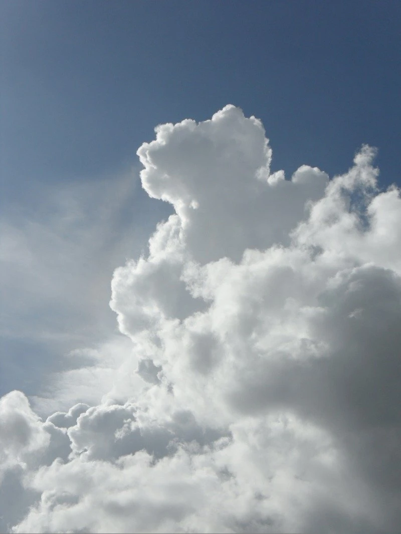 SDC10711.JPG