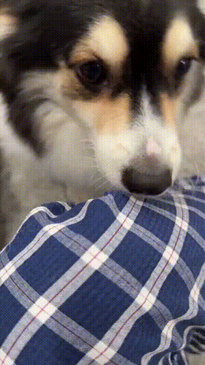 00-1.gif