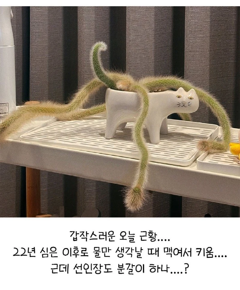 07.jpg