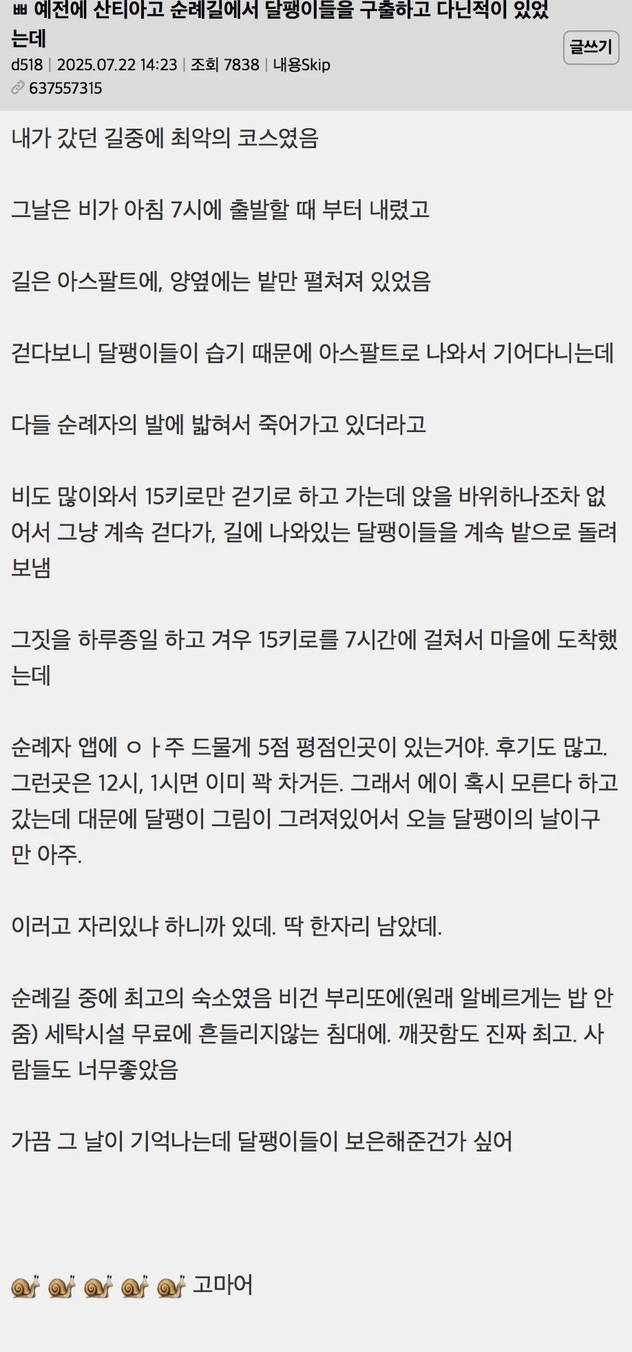 산티아고 순례길에서 달팽이를 구출했다
