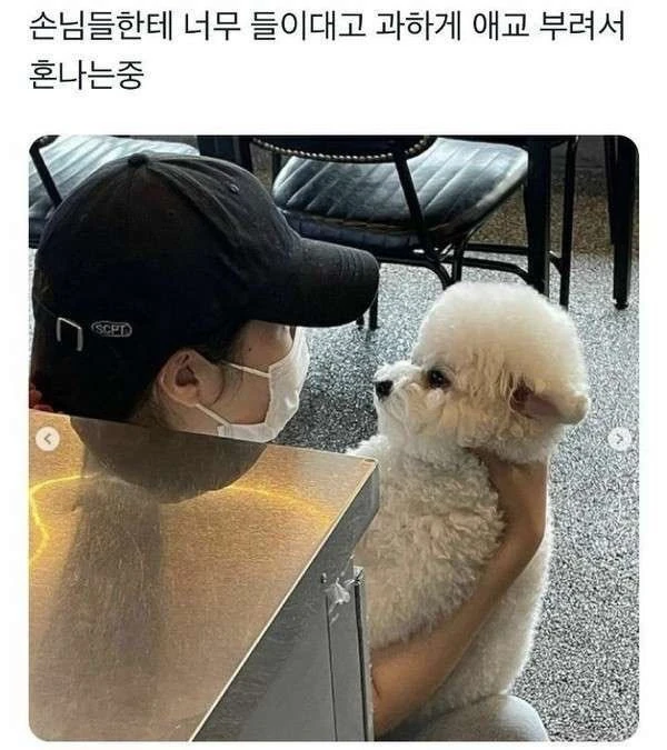 손님한테 들이대서 혼나는 알바생