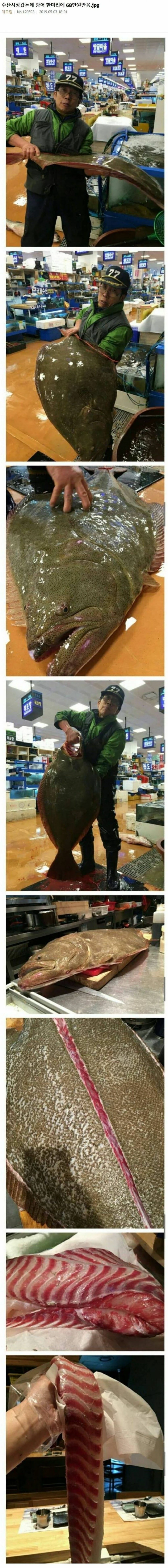 광어 한마리에 68만원