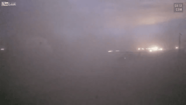 01.gif