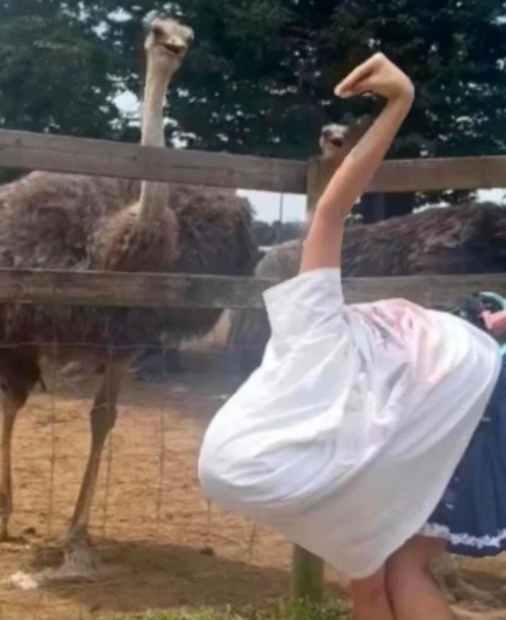 "넌 누구야?" "니 친구다"