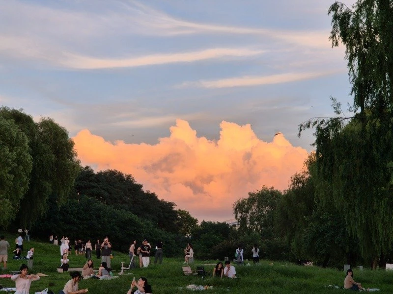 노들섬 (22).jpg