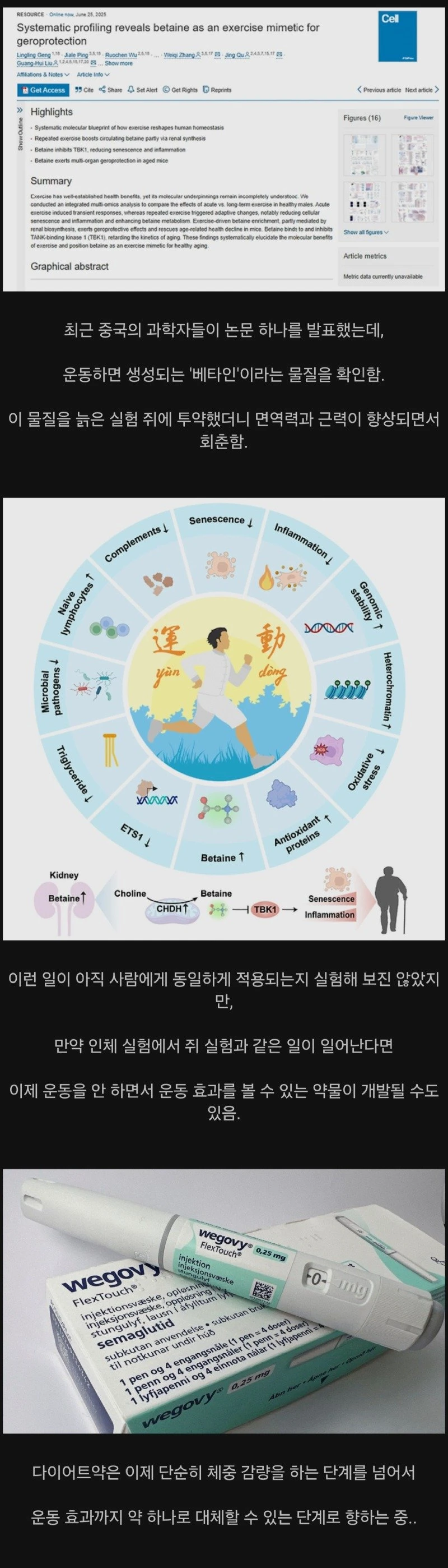 운동효과를 줄 지도 모르는 약(?) 이야기