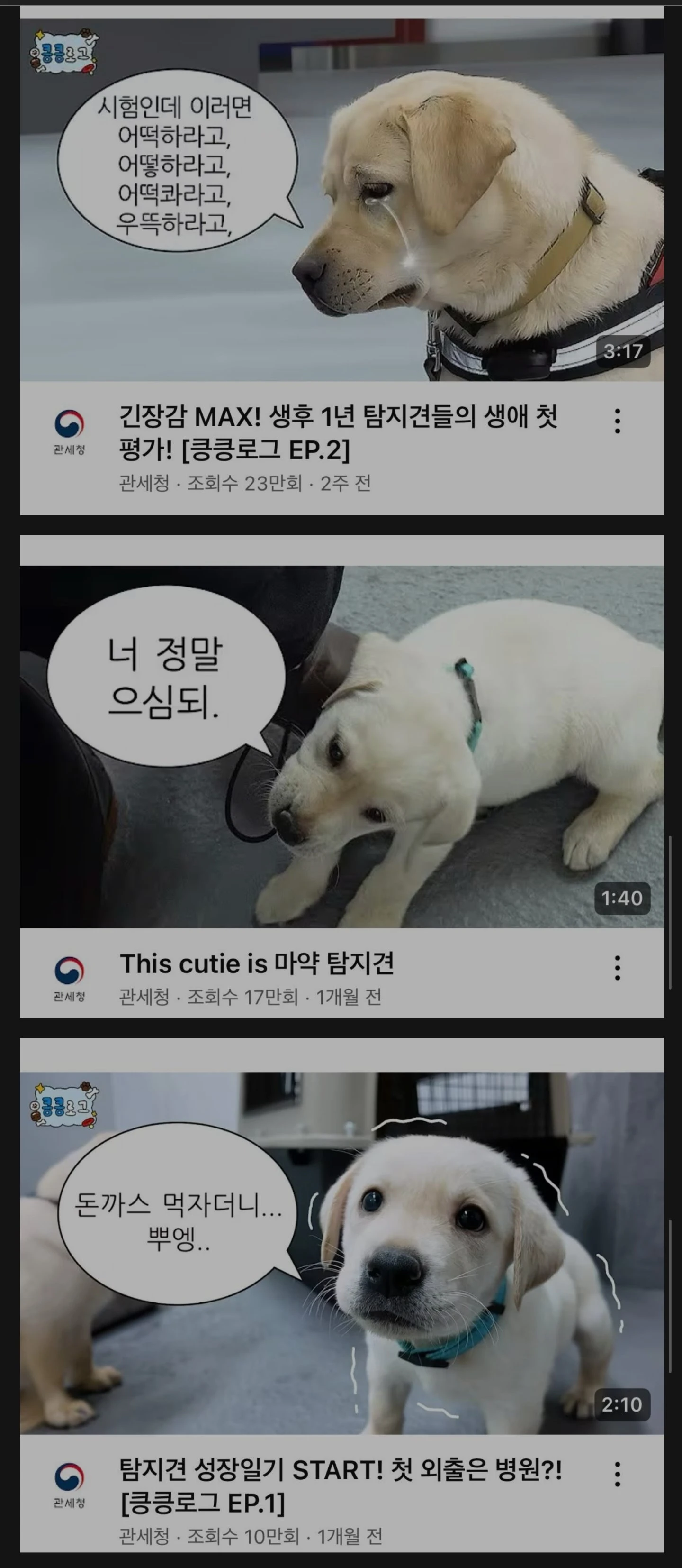 치트키 꺼내든 관세청 유튜브채널