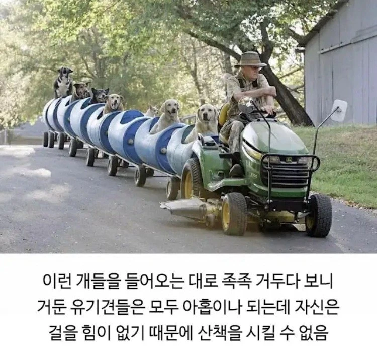 04.jpg