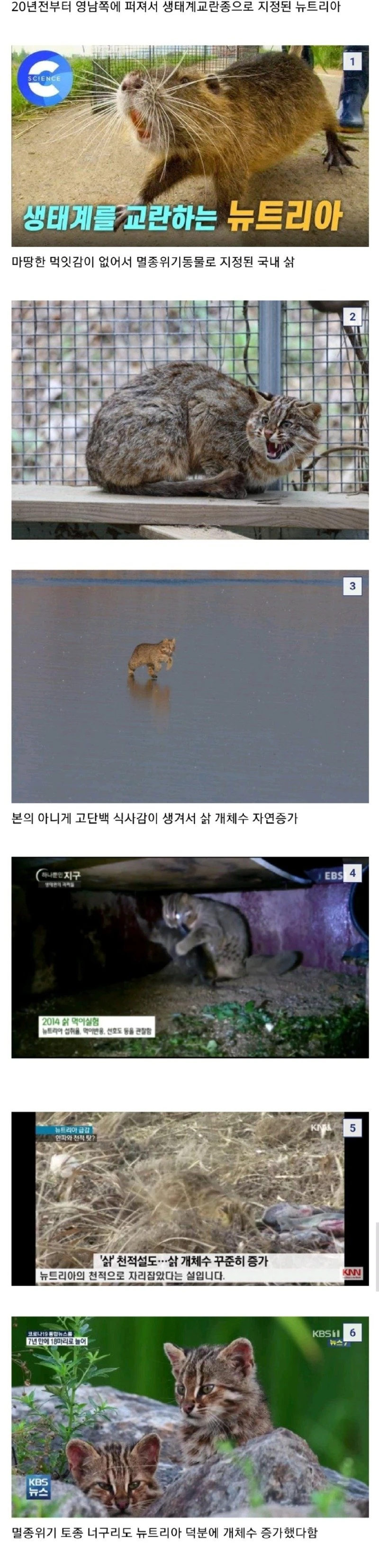 멸종위기 동물의 개체수가 증가한 이유
