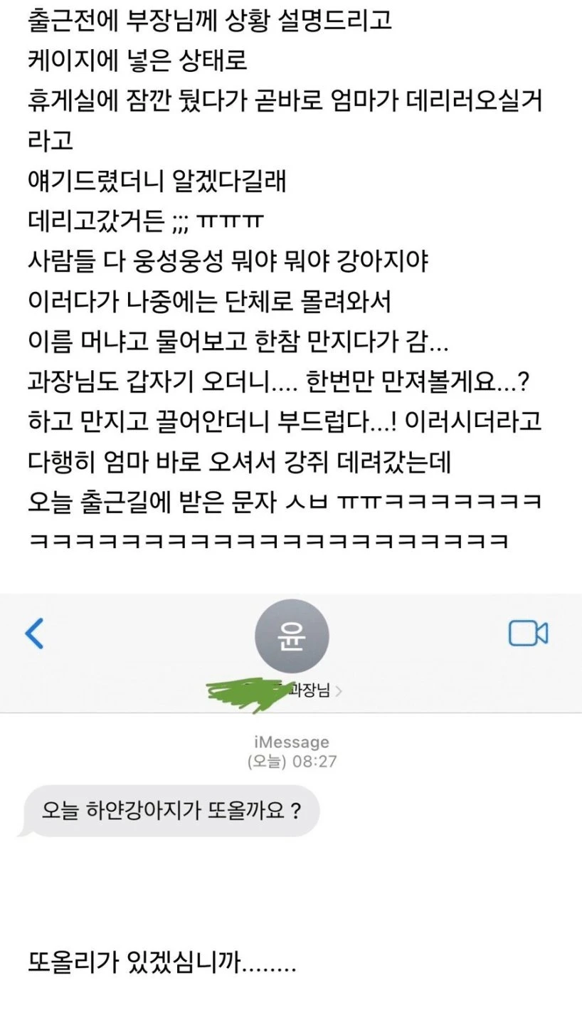 직장에 강아지 잠깐 데려가게 되었던 결과