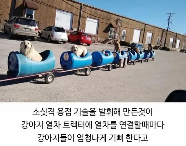 06.jpg