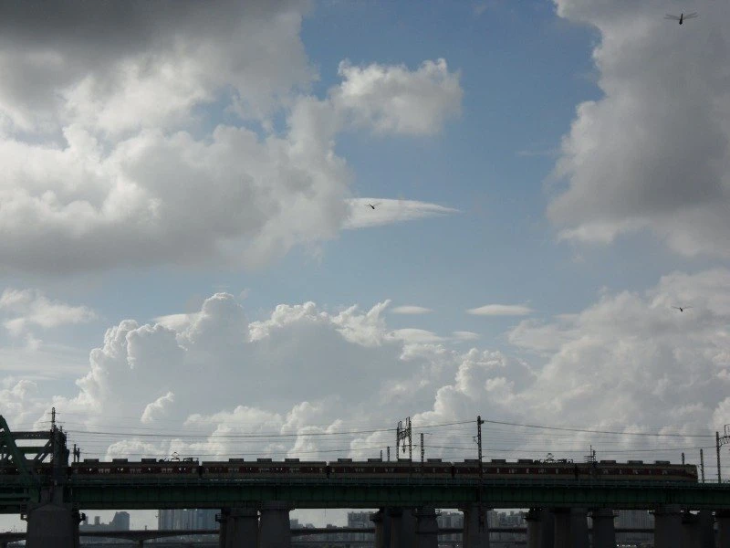 SDC10729.JPG
