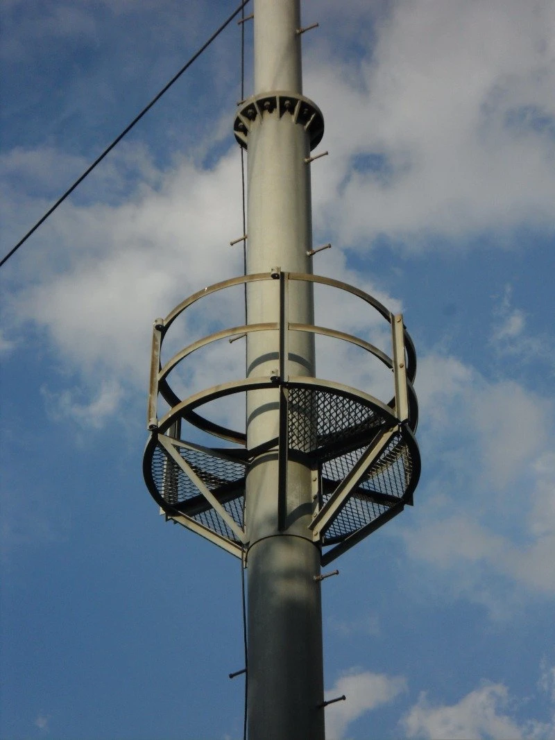 SDC10735.JPG