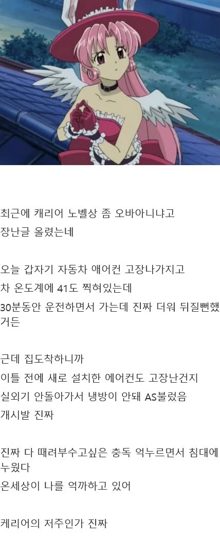 캐리어 까는 장난글 올린 이의 최후