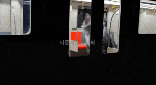 ezgif.com-optimize(11).gif