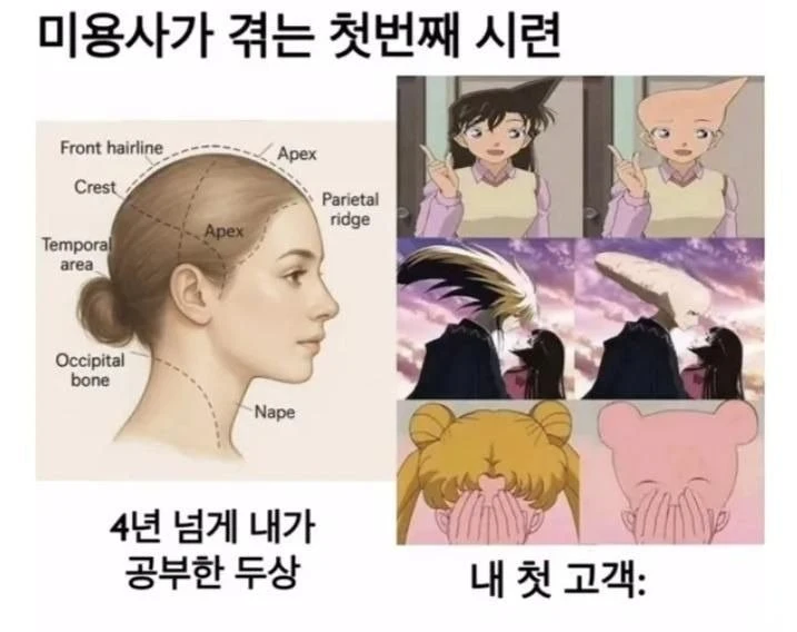 흔한 초보 미용사의 시련.jpg