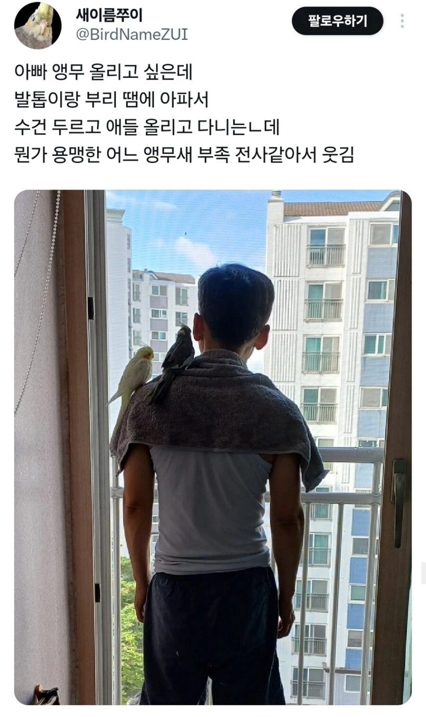 앵무새를 어깨에 올리고 싶었던 아버지...