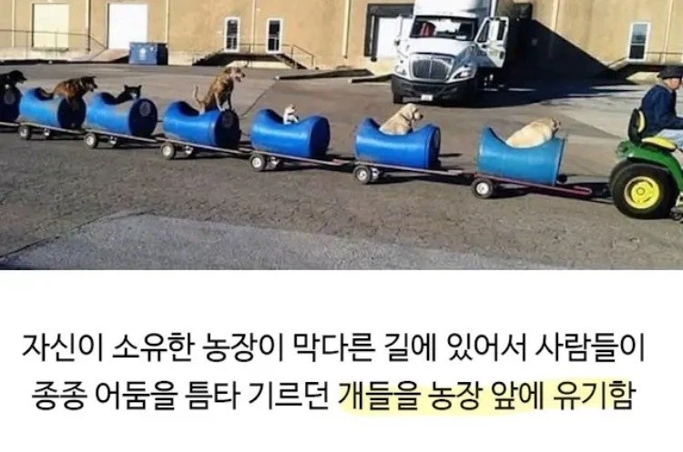 03.jpg
