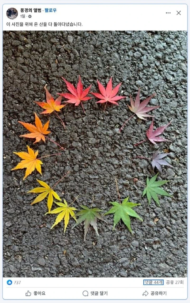 사진 한 장을 위해 온 산을 다 돌아다닌 사람