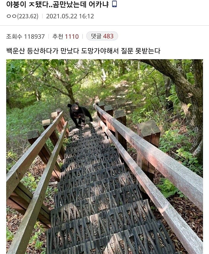 ??? : 아 인증은 못참지
